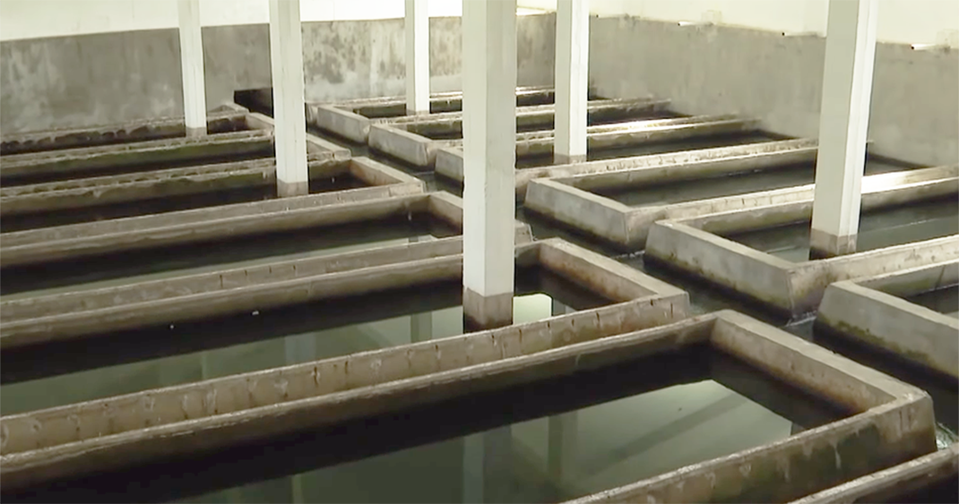 Милионски загуби, долгови и блокирани сметки – финансиски  биланси на локалните јавни претпријатија